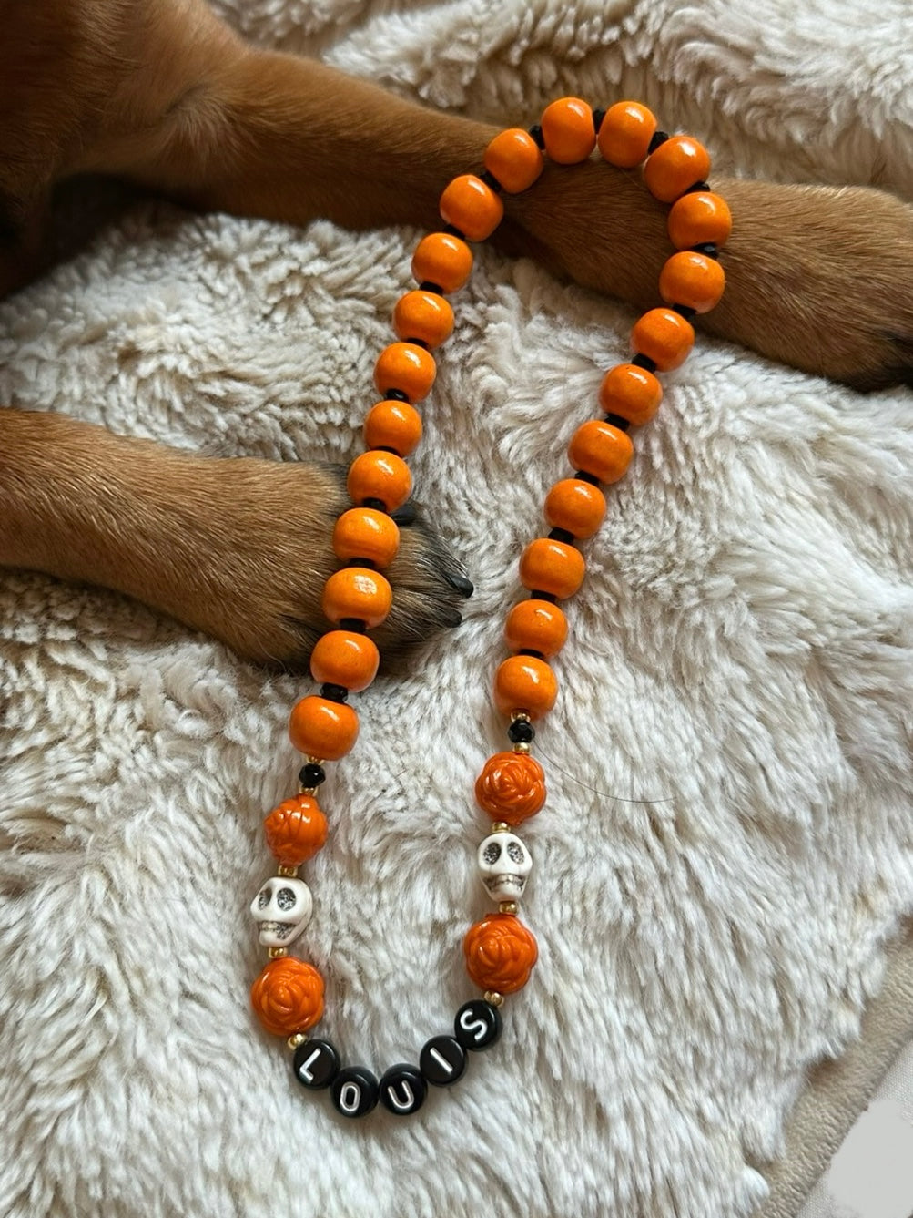 Bones and Blooms Dog Necklace