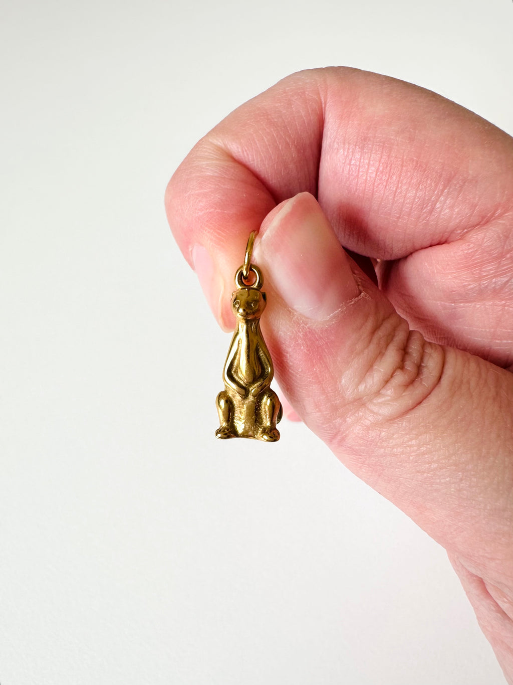 Meerkat Charm