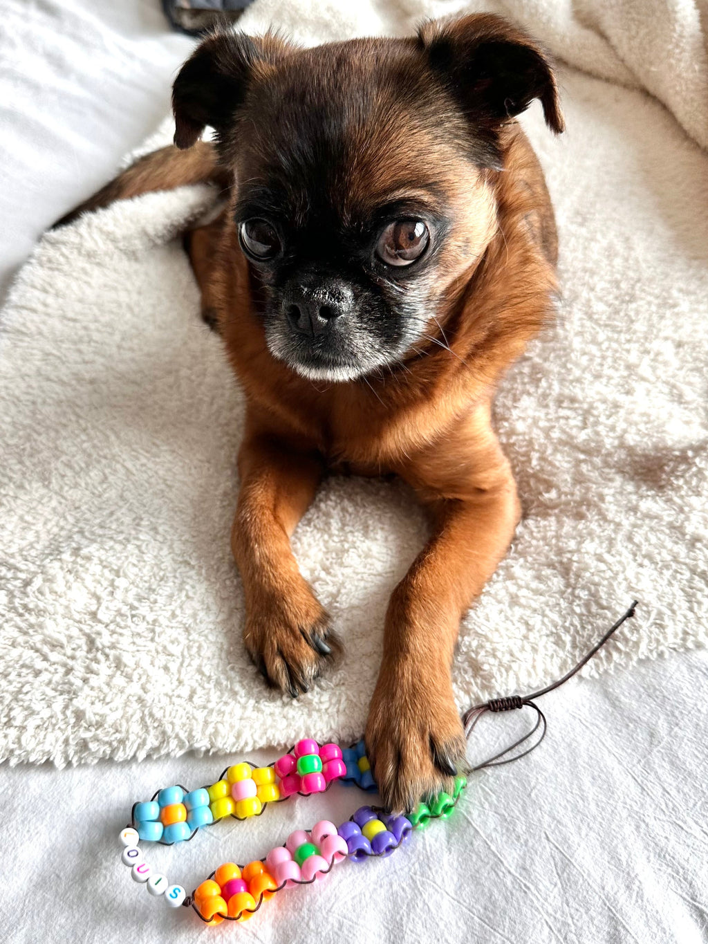 Flower Power Dog Necklace
