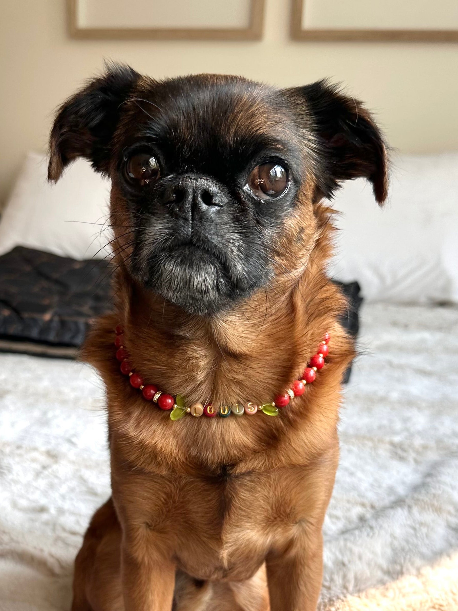Spiced Apple Dog Necklace