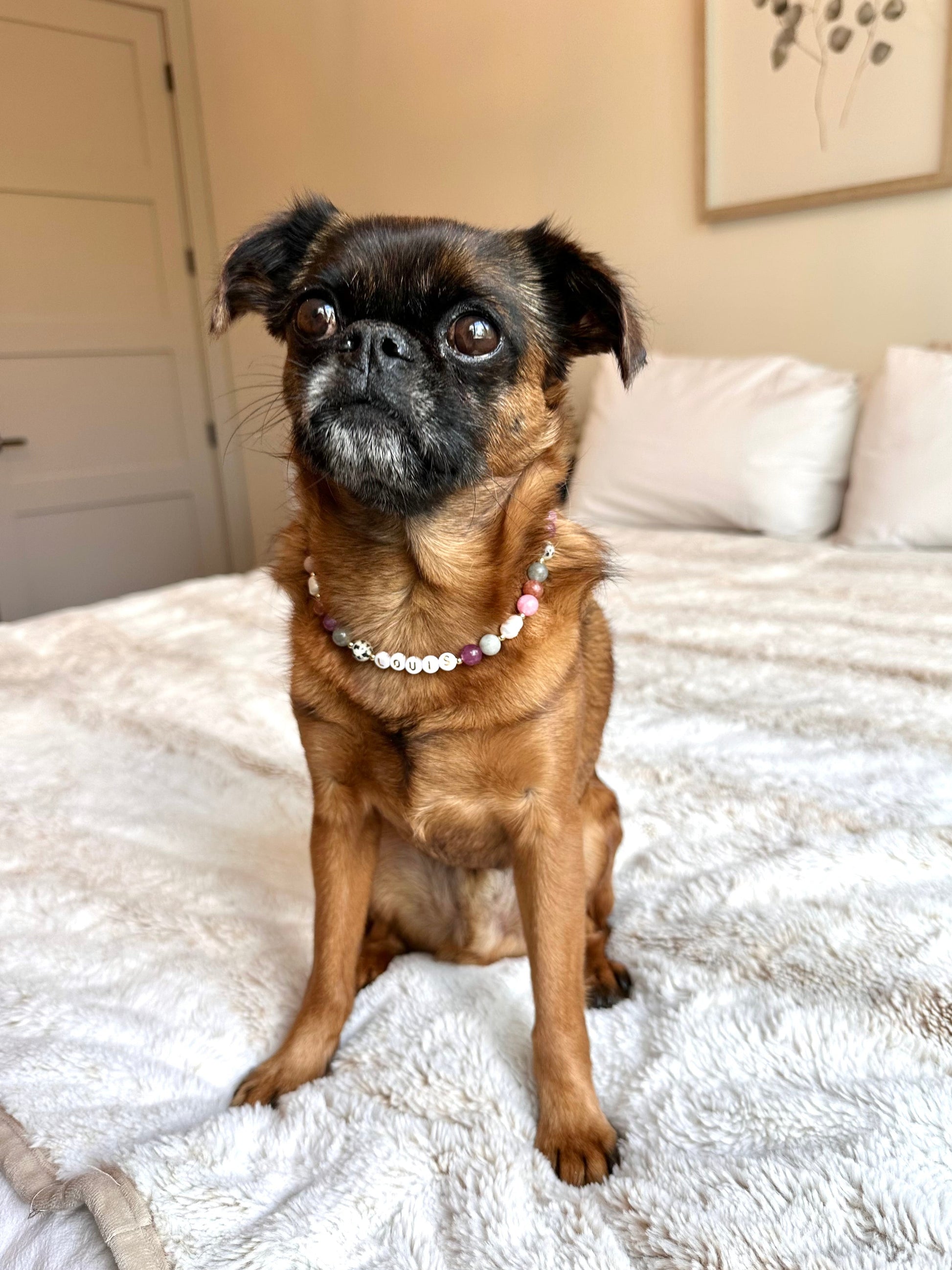 Autumn Berry Dog Necklace