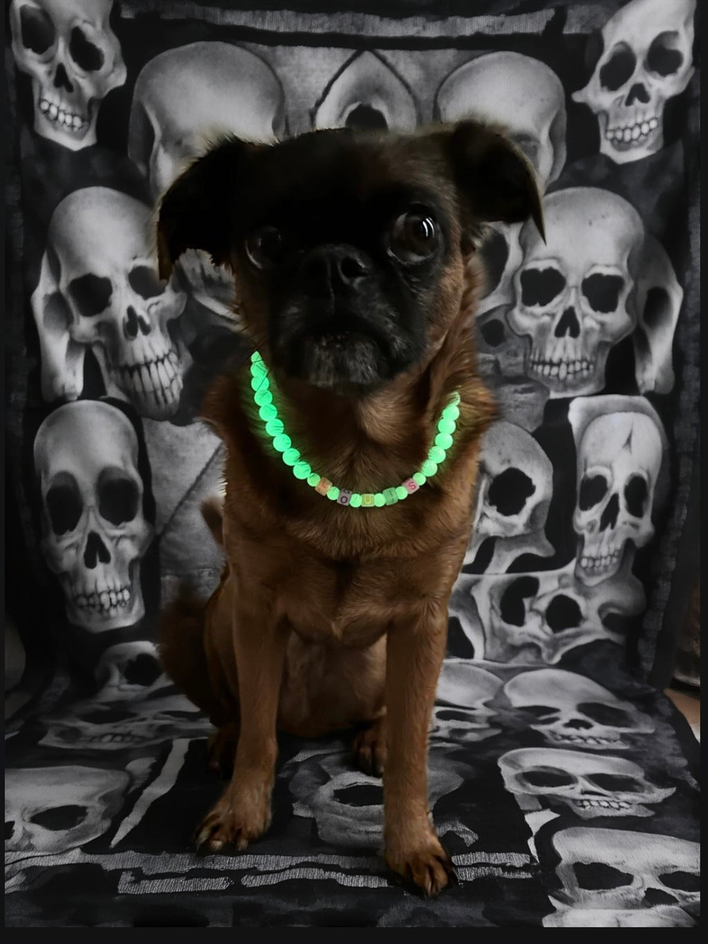 Ghost Glow Dog Necklace (Glow in the Dark)
