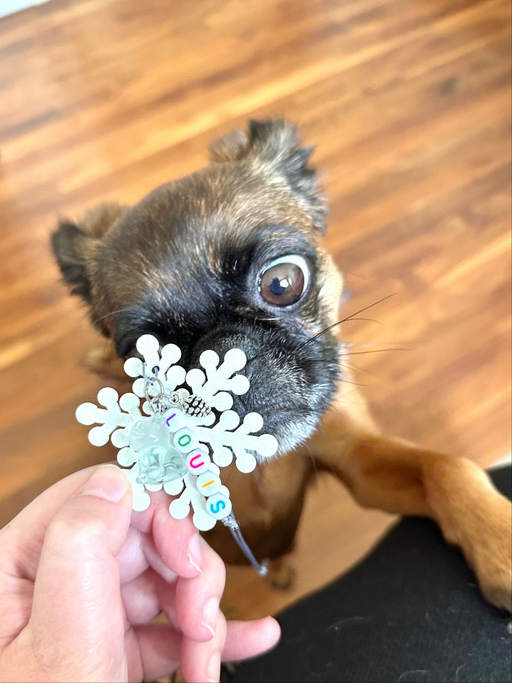 Griff Gemstone Snowflake Ornament