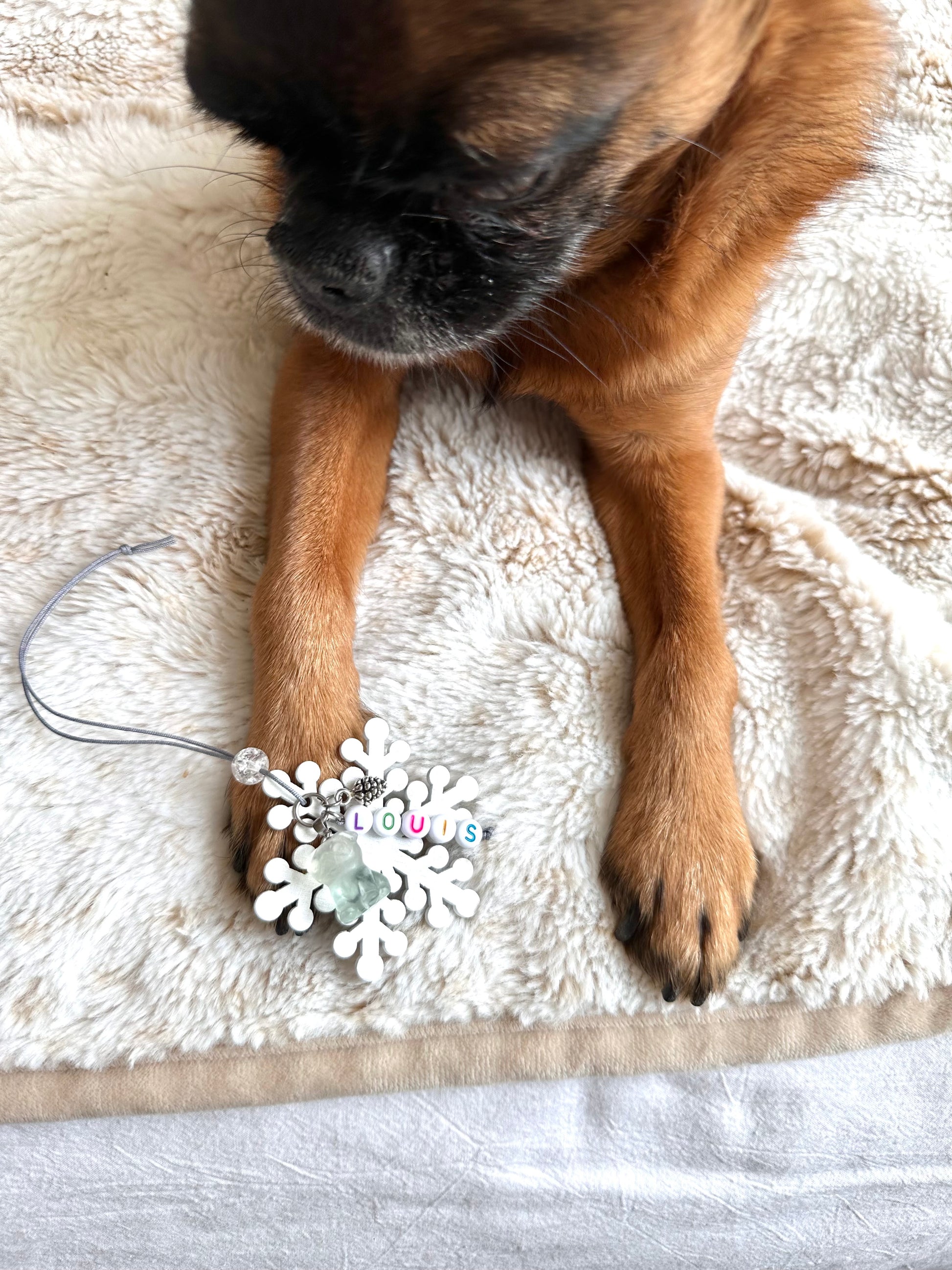 Griff Gemstone Snowflake Ornament