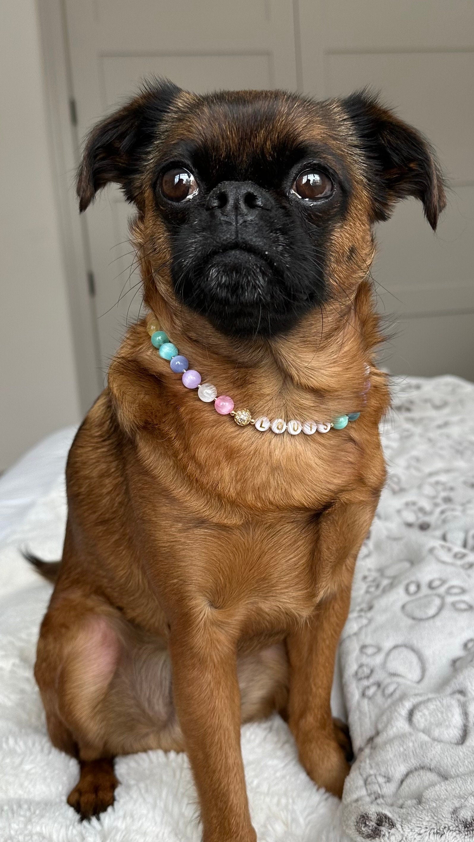 Rainbow Ice Dog Necklace