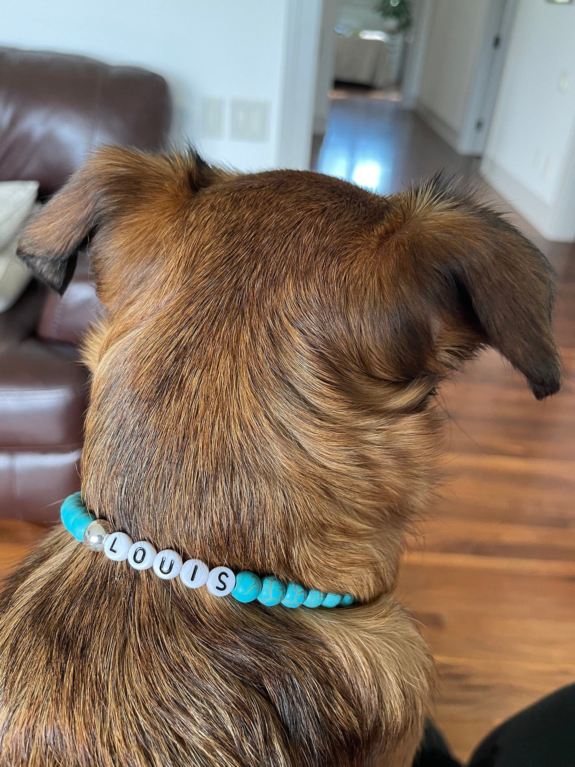 Blue Howlite Dog Necklace
