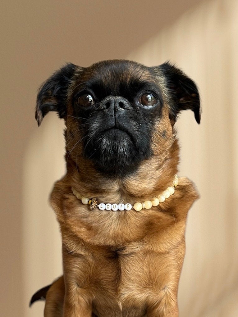 Honey Bee Dog Necklace
